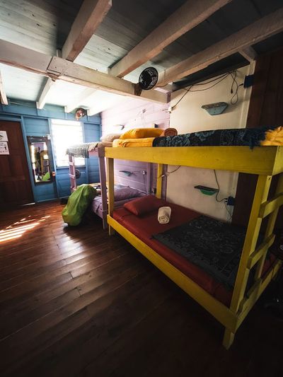 two yellow and purple bunk beds in wooden room