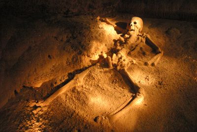 full skeleton laying on ground illuminated with headlight