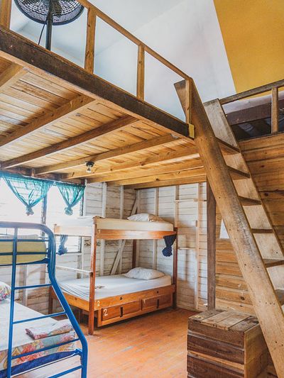 bunk two bunk beds with a tree top loft above