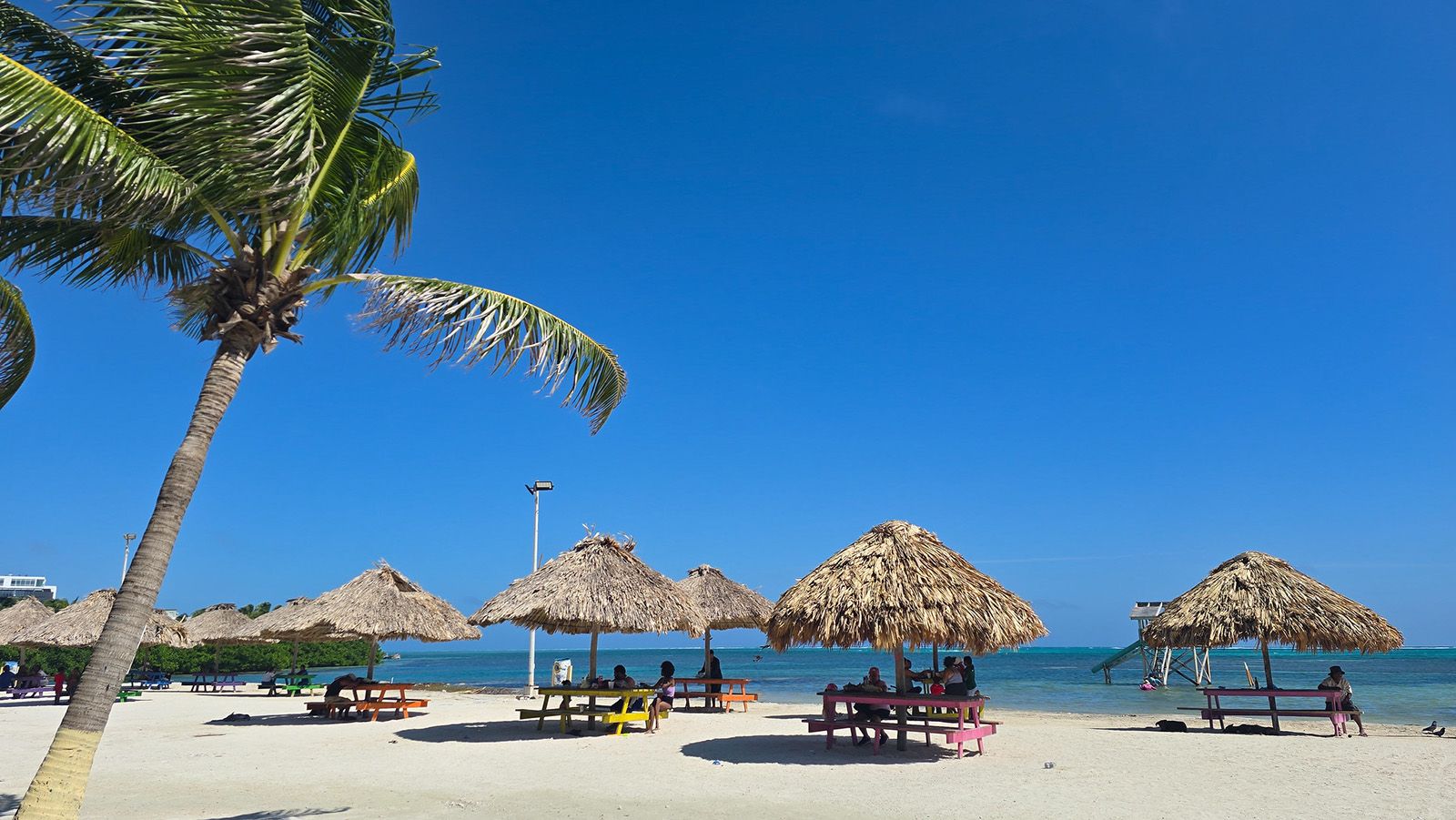 beach thatch roofs with white sand and palm tree
