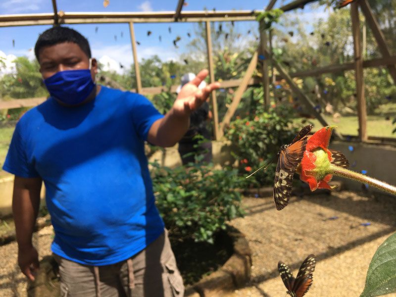 guy showing butterfly on flower