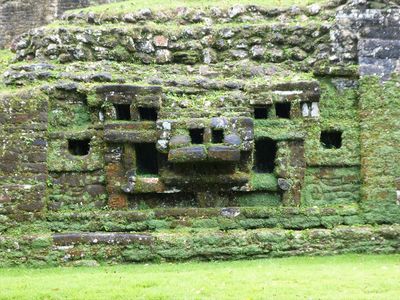 jaguar face on mayan ruin covered in moss