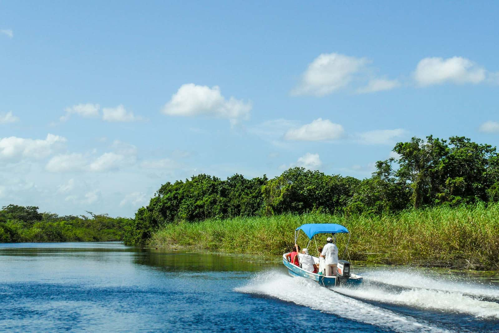 boat on river surrounded by jungle