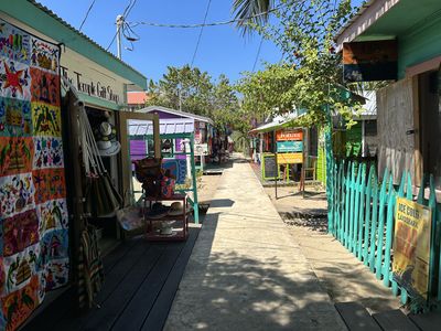 small wooden house surrounded by coconut trees and hung clothes